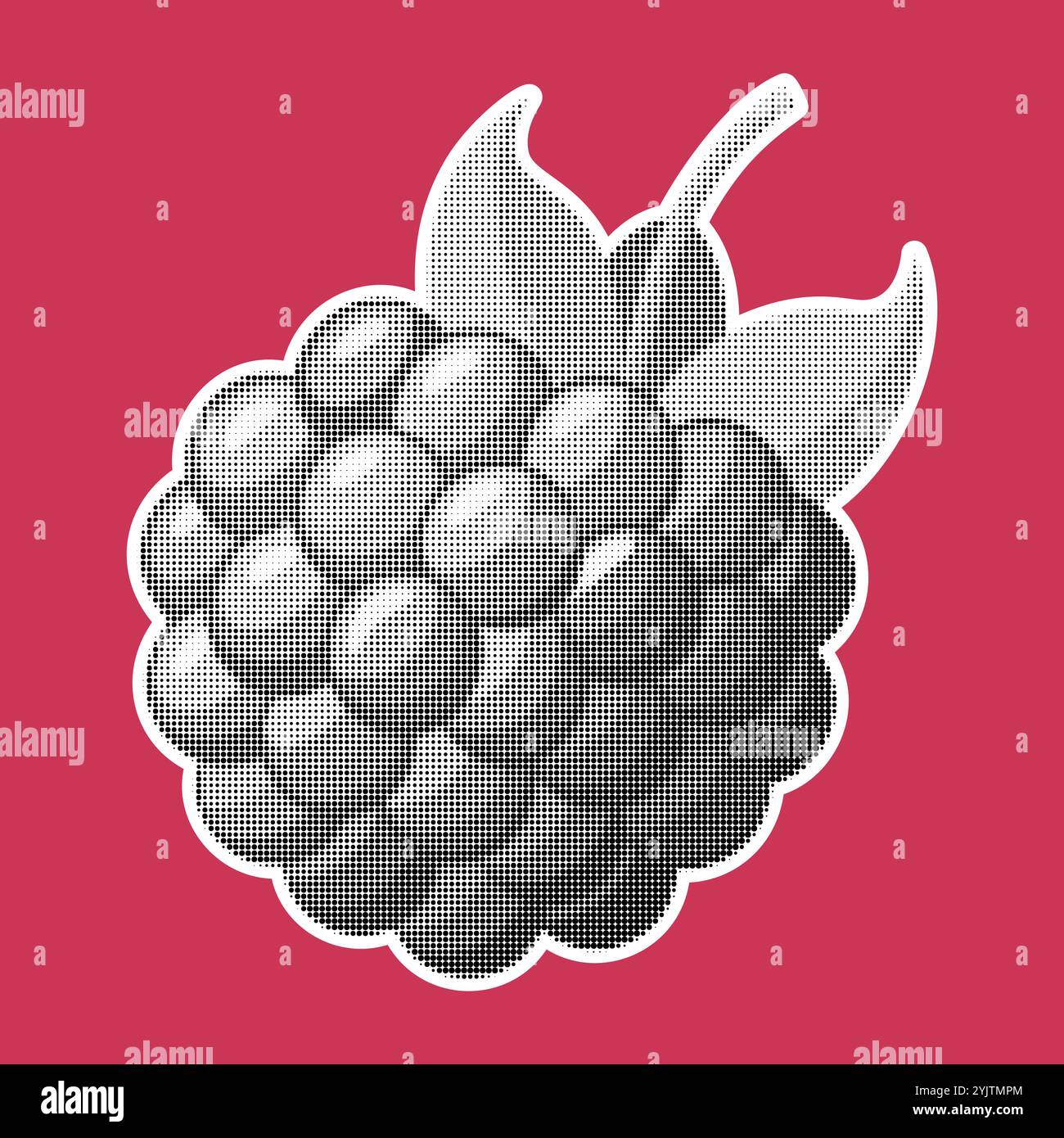 Raspberry. Trendy halftone style. Fresh fruit retro black and white ...