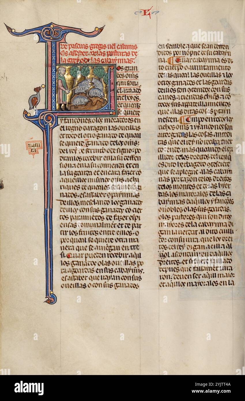 Initial L: A Shepherd with a Flock; Vidal Mayor, about 1290-1310. Additional info: In 1247, with the reconquest of Spain from the Muslim forces Additional info: In 1247, with the reconquest of Spain from the Muslim forces virtually complete, King James I of Aragon and Catalonia, Spain, decided to establish a new systematic code of law for his kingdom. He entrusted the task to Vidal de Canellas, bishop of Huesca. The manuscript, the only known copy of the law code still in existence, is a translation of Vidal de Canellas's Latin text into the vernacular Navarro-Aragonese language (in that langu Stock Photo