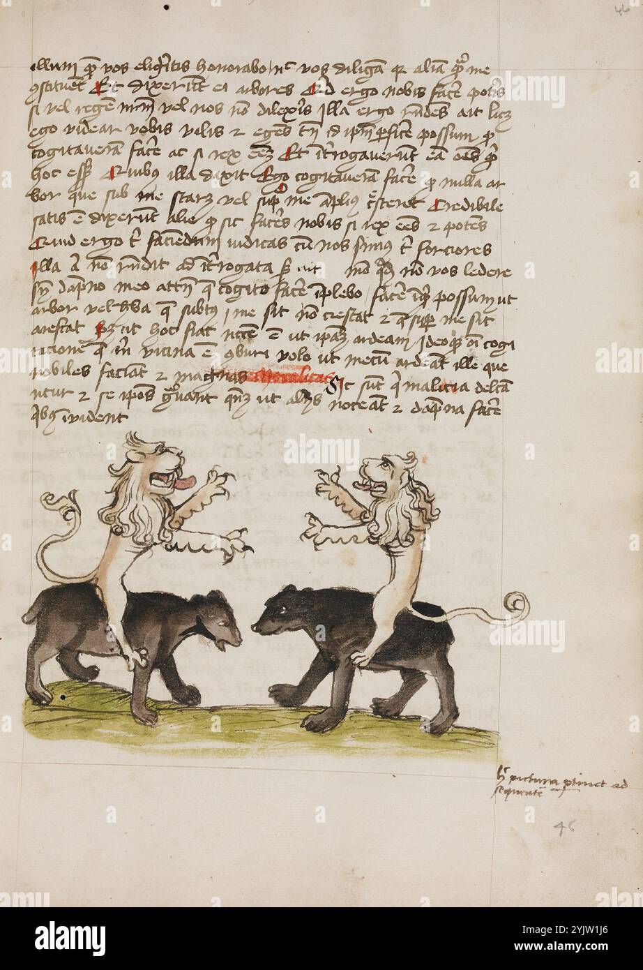 two-lions-sitting-on-the-backs-of-two-bears-fables-exemplum-de-tribus