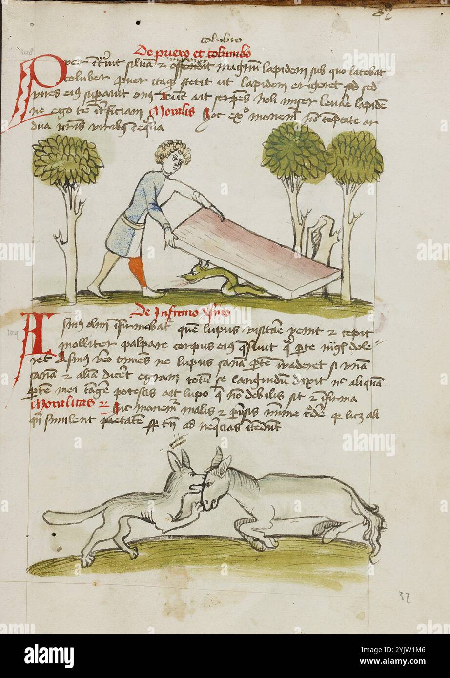 a-young-man-in-a-bed-under-which-is-a-snake-a-donkey-fighting-with-a