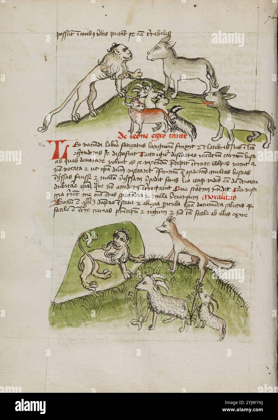 lions-and-a-donkey-with-other-animals-a-lion-in-his-den-and-a-fox-ram