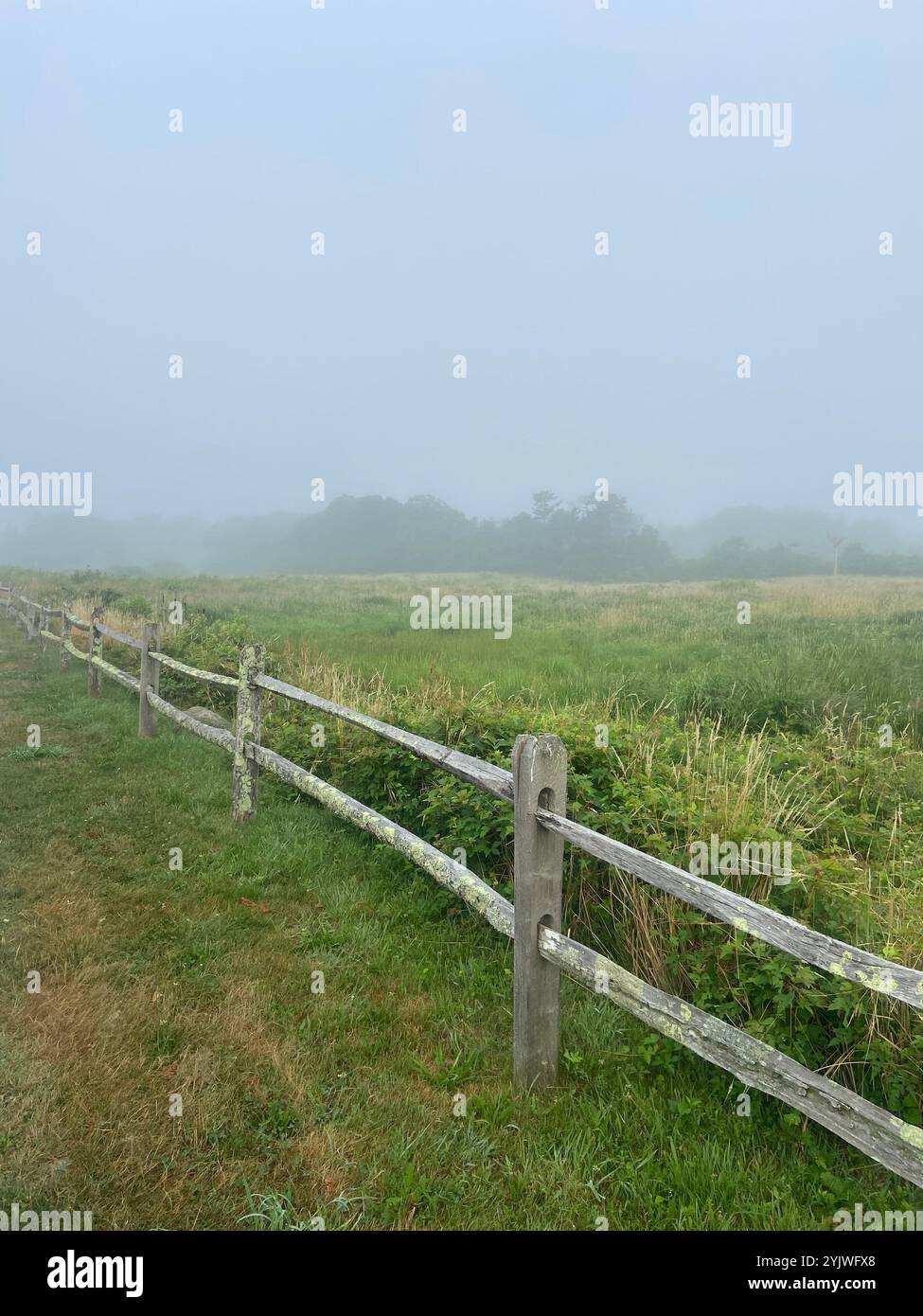 Morning Misty Meadow - Smartphone Captured Stock Image Morning Misty Meadow - Smartphone Captured Stock Image