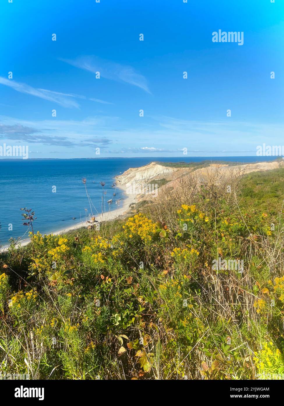 Aquinnah Cliffs on Martha's Vineyard - Smartphone Captured Stock Image