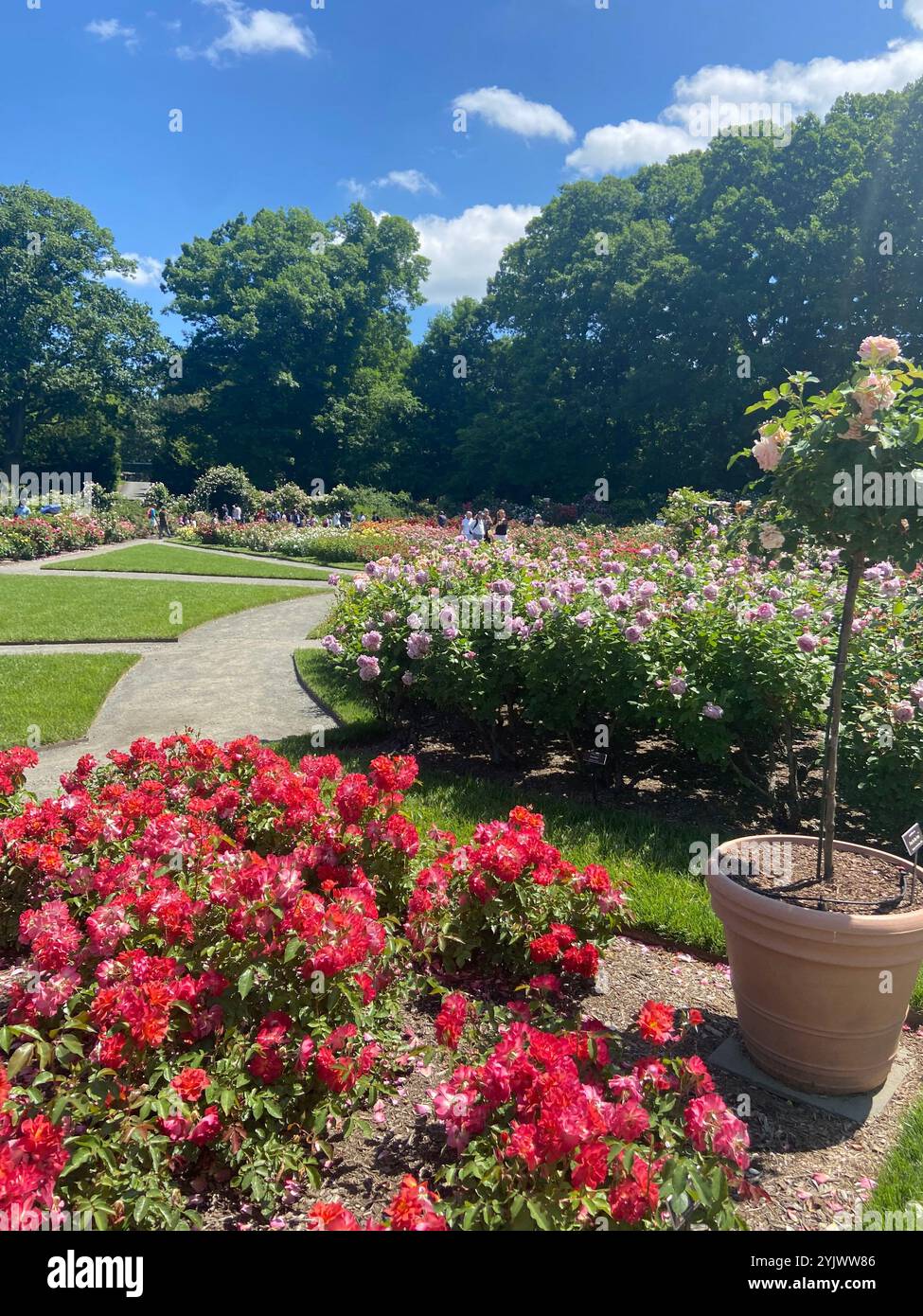 new york city botanical garden