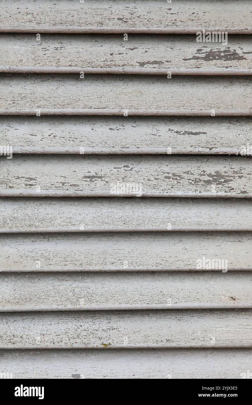 dirty white wooden background. striped wooden wall pattern with peeling paint and moss Stock Photo