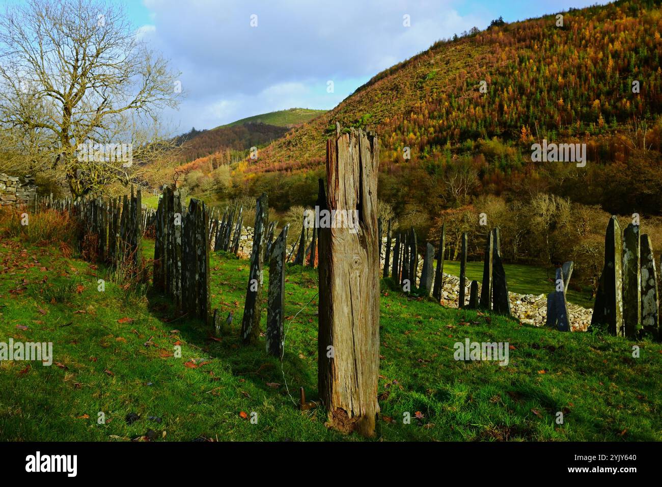 Corrtis Dismantled section of the old Corris Railway, Corris Gwynedd, looking ...