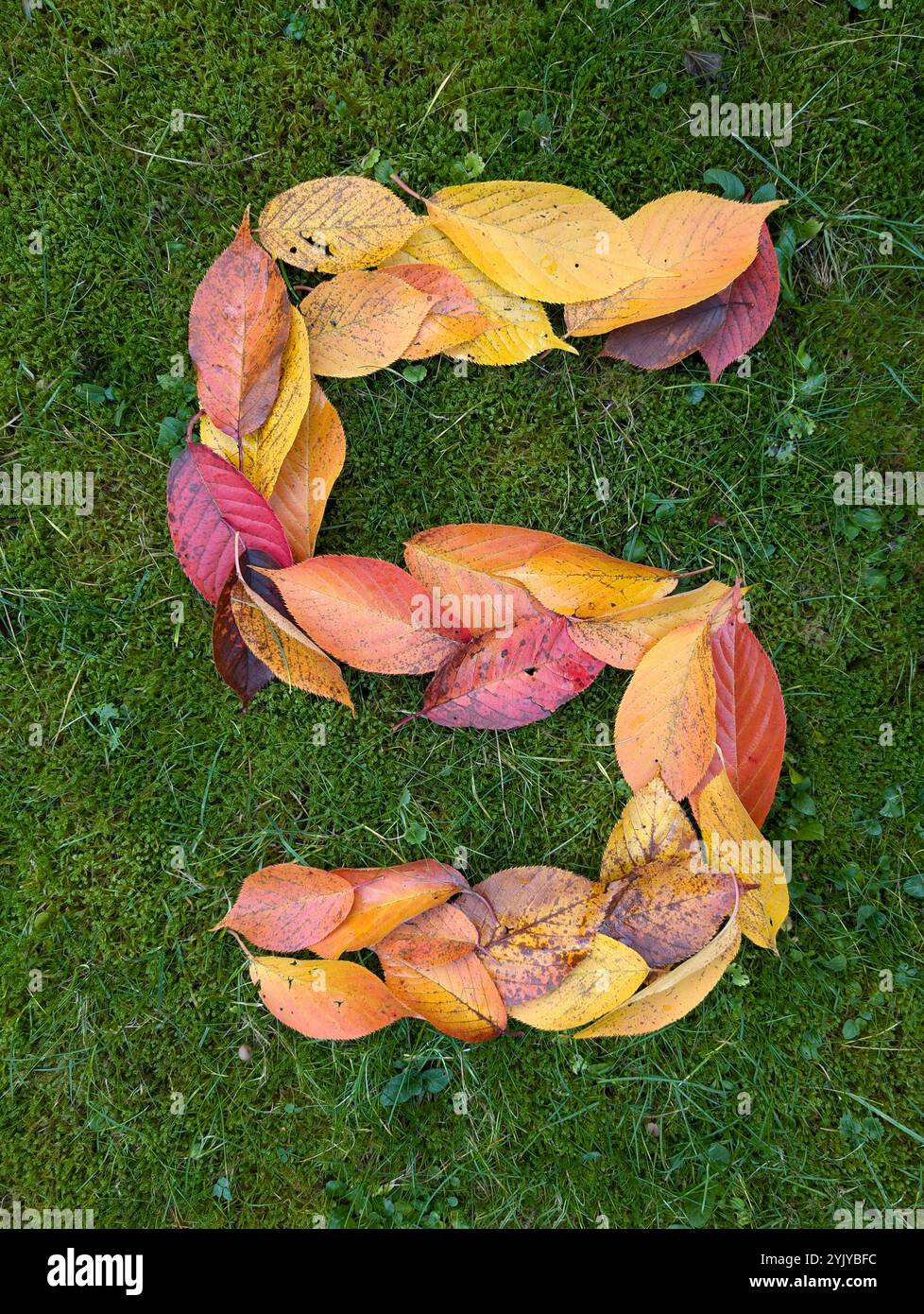 Number leaf green leaves garden hi-res stock photography and images - Alamy