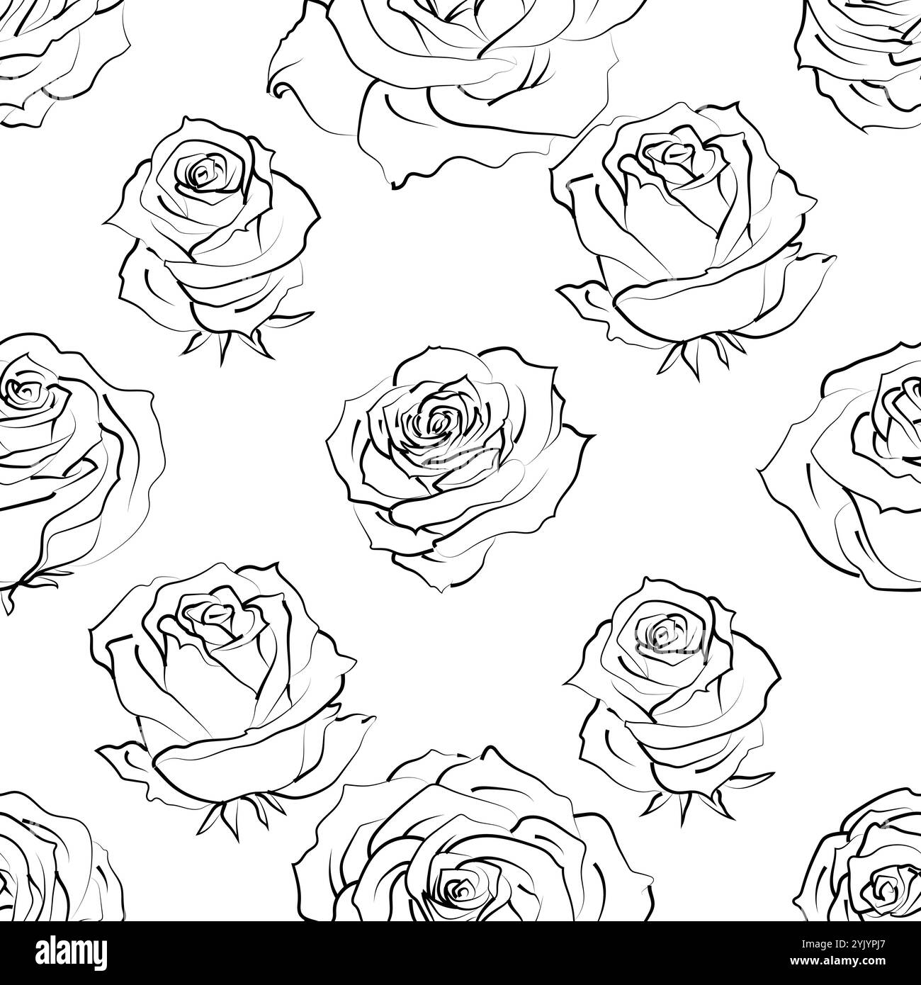 Seamless pattern with hand drawn rose flowers on white. Vector floral ...