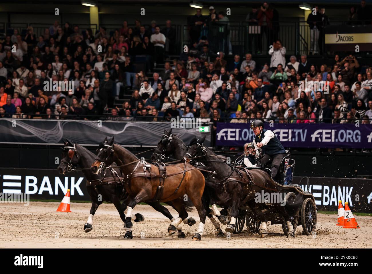 Gold 1. Prize Exell Boyd Australia Carriage 1  FEI Driving World Cup™ MASTERHORSE GERMAN MASTER Zeit-Hindernisfahren Vierspaenner mit 2 Umlaeufen Wertungspruefung für den Weltcup Fahren 2024/2025 International  GER, Stuttgart German Masters 2024, 38. internationale Reitturnier, 16.11.2024  Foto: Eibner-Pressefoto/Roger Buerke Stock Photo