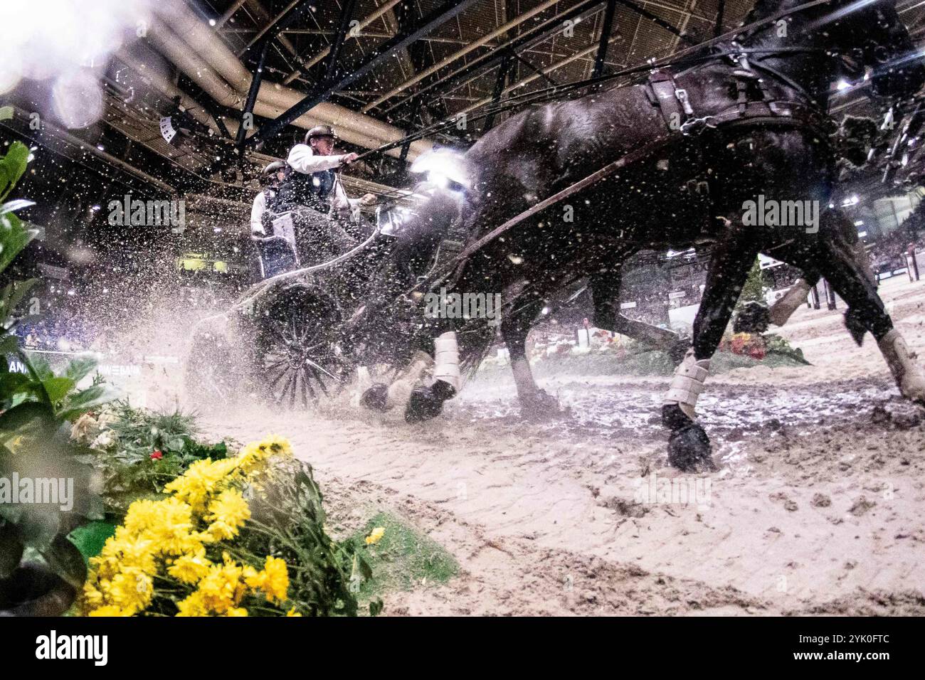 Stuttgart, Deutschland. 16th Nov, 2024. Gold 1. Prize Exell Boyd Australia Carriage 1 FEI Driving World Cup MASTERHORSE GERMAN MASTER Zeit-Hindernisfahren Vierspaenner mit 2 Umlaeufen Wertungspruefung für den Weltcup Fahren 2024/2025 International GER, Stuttgart German Masters 2024, 38. internationale Reitturnier, 16.11.2024 Foto: Eibner-Pressefoto/Roger Buerke Credit: dpa/Alamy Live News Stock Photo