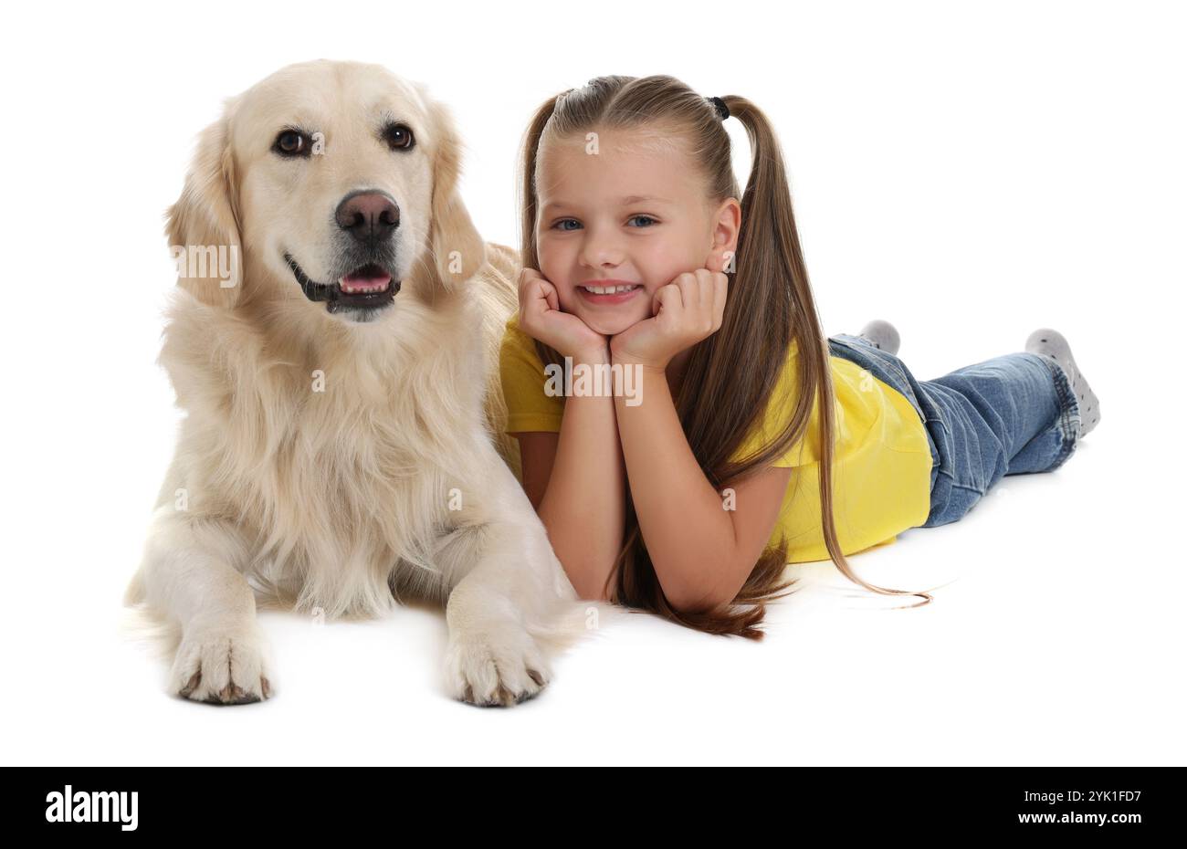 Girl with her cute Golden Retriever dog lying on white background Stock ...