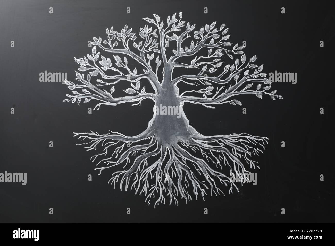 Black and white drawing of tree with roots and branches hi-res stock ...