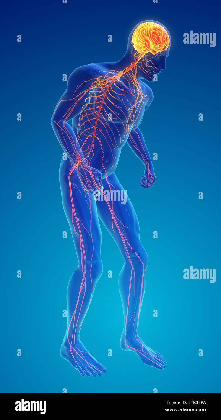 Degenerative Disease of the Nervous System or Parkinson's disease Stock Photo