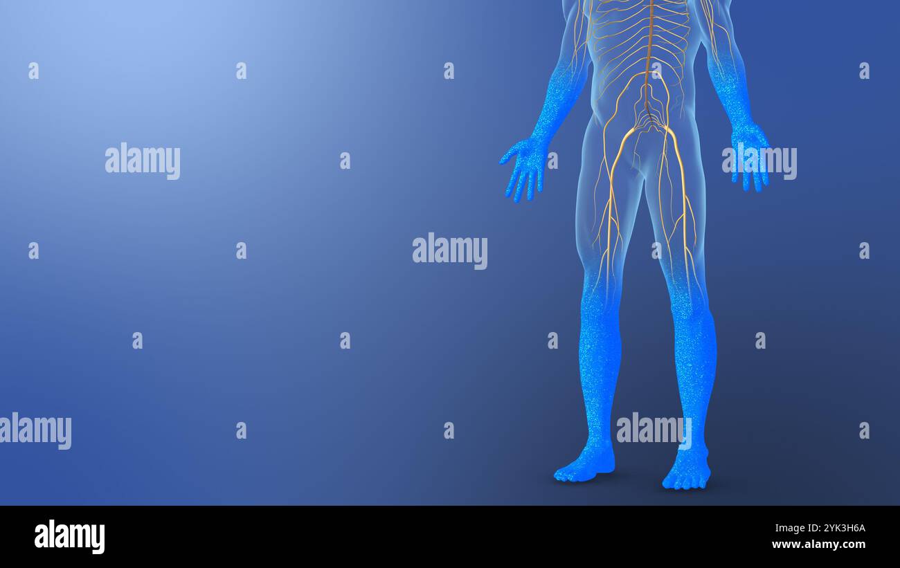 neurontin nerve damage