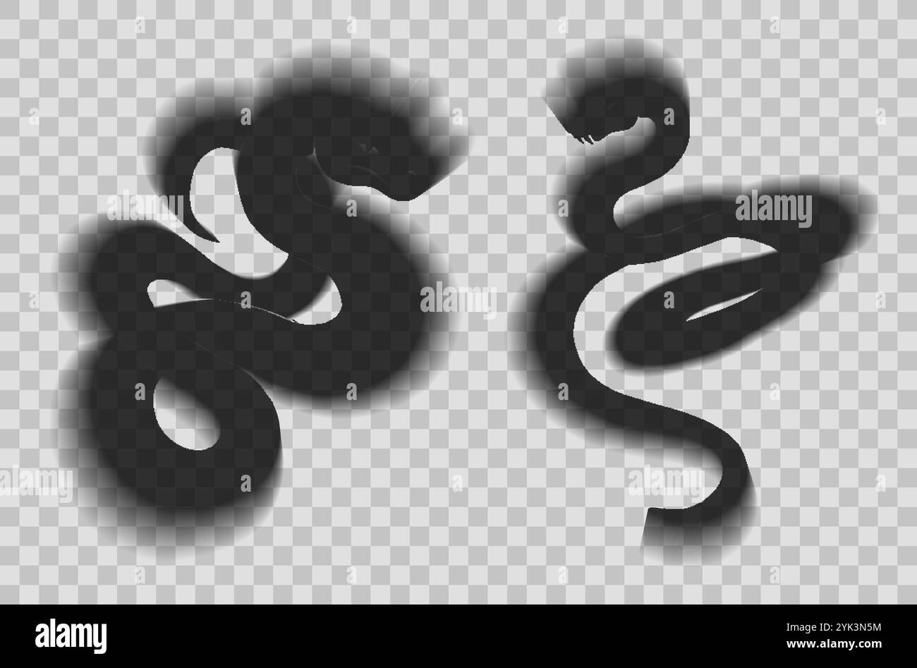 Vector set of transparent shadow of snakes isolated from background ...