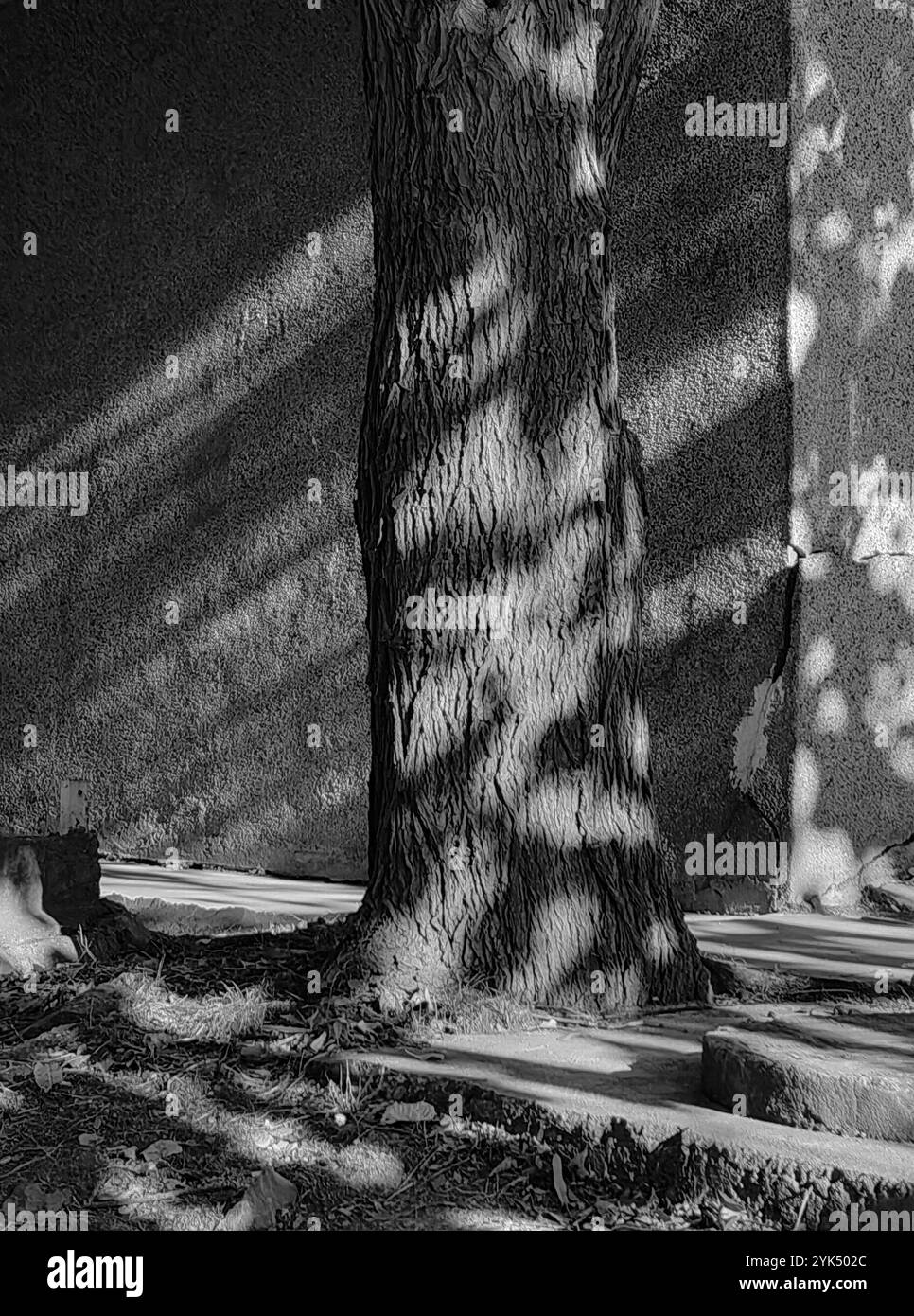 Sunlight shadows around wall hi-res stock photography and images - Alamy