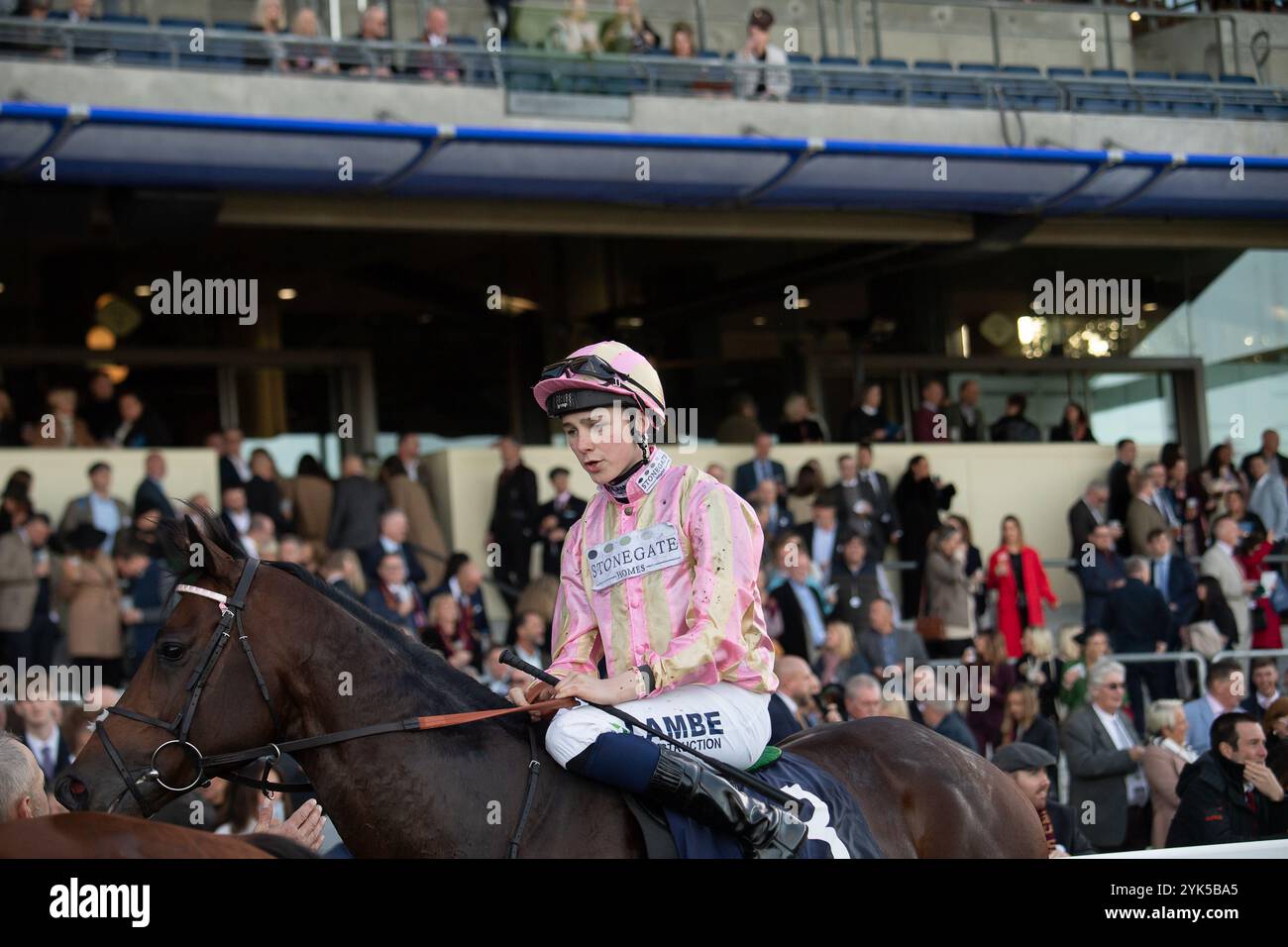 Ascot, Berkshire, UK. 19th October, 2024. CICERO'S GIFT ridden by jockey Billy Loughnane returns after riding in the Balmoral Handicap Stakes (Class 2) (Sponsored by QIPCO) at the QIPCO British Champions Day 2024, Ascot Racecourse, Berkshire. Credit: Maureen McLean/Alamy Stock Photo