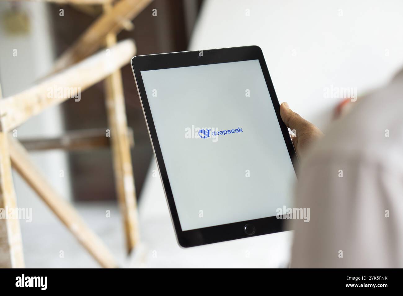 DEEPSEEK IPAD PRO intelligence overview