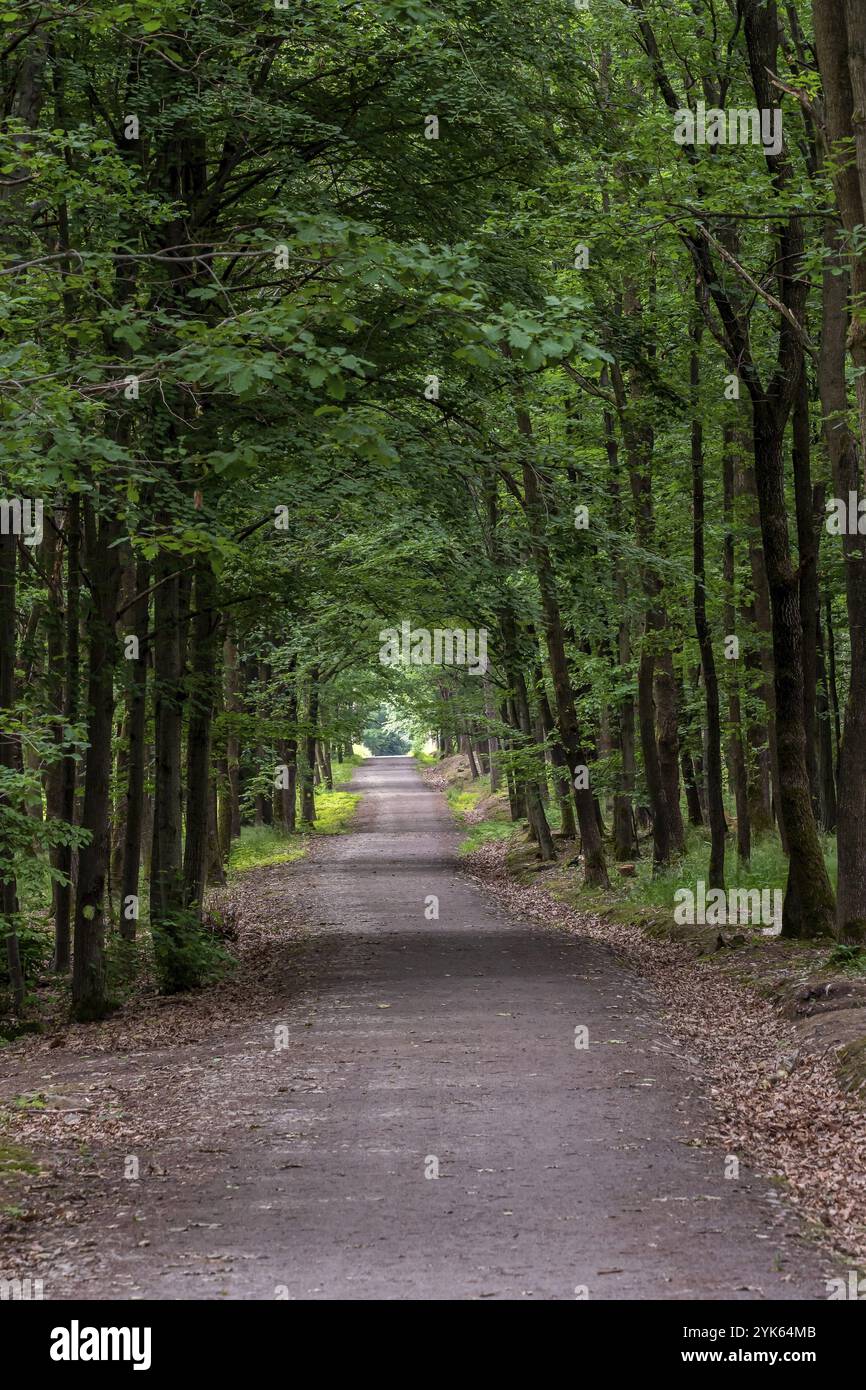 Empty foot path road hi-res stock photography and images - Alamy