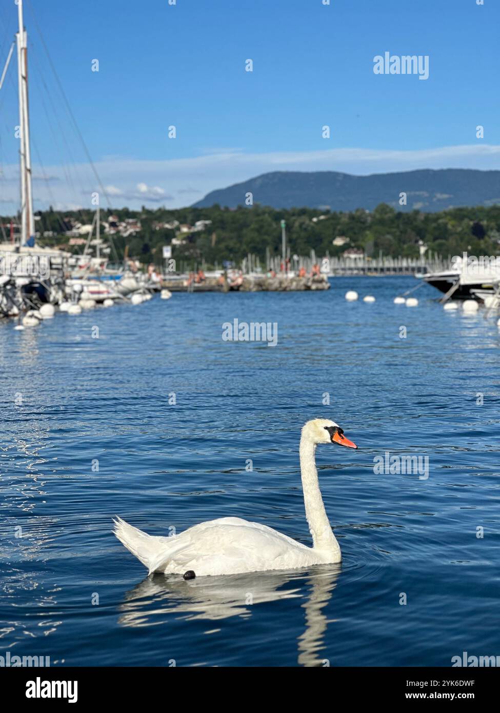 Travel,  nature, fashion, Style - Smartphone Captured Stock Image