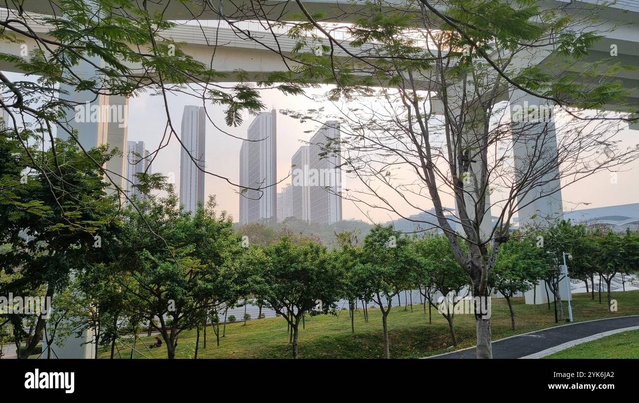 A modern and minimalist urban park in Shenzhen, China. - Smartphone Captured Stock Image