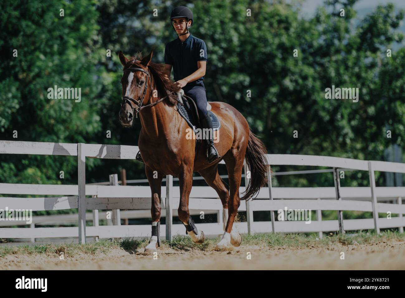 Horse rider school hi-res stock photography and images - Alamy