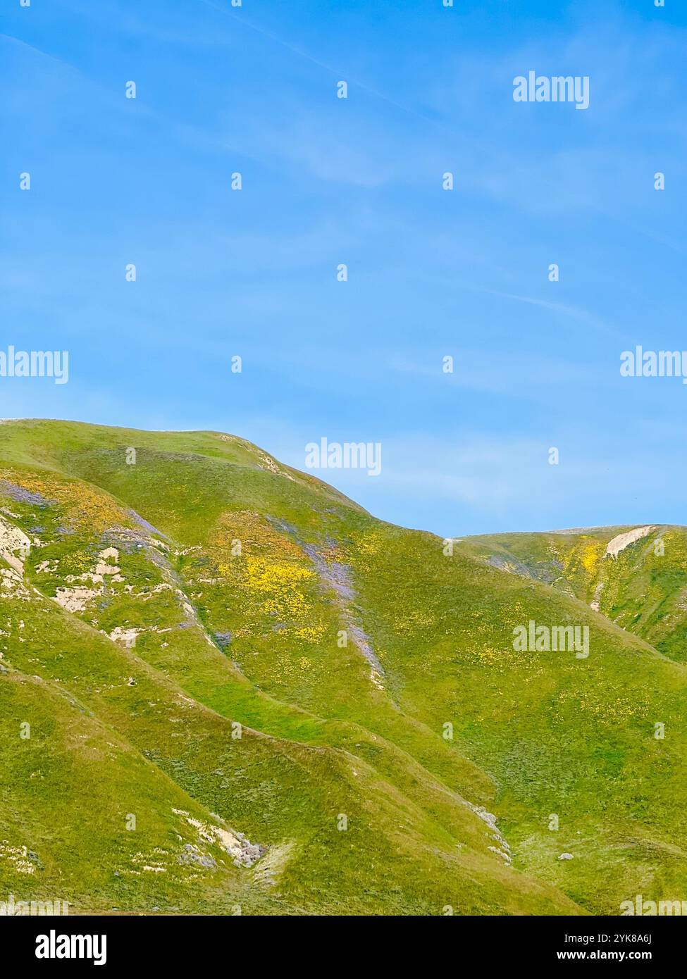 Lush mountain with a blue clear sky in the background, with small huddles of colorful flowers spreading throughout the green grass. - Smartphone Captured Stock Image
