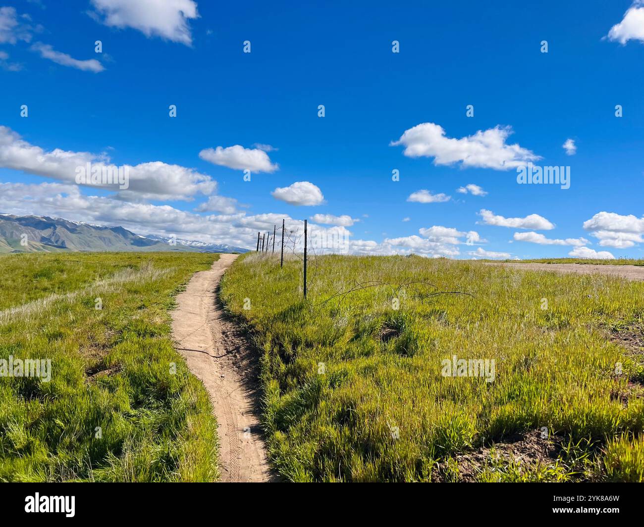 Beautiful mountain top, containing peaceful hike, on a sunny day with fluffy clouds. - Smartphone Captured Stock Image