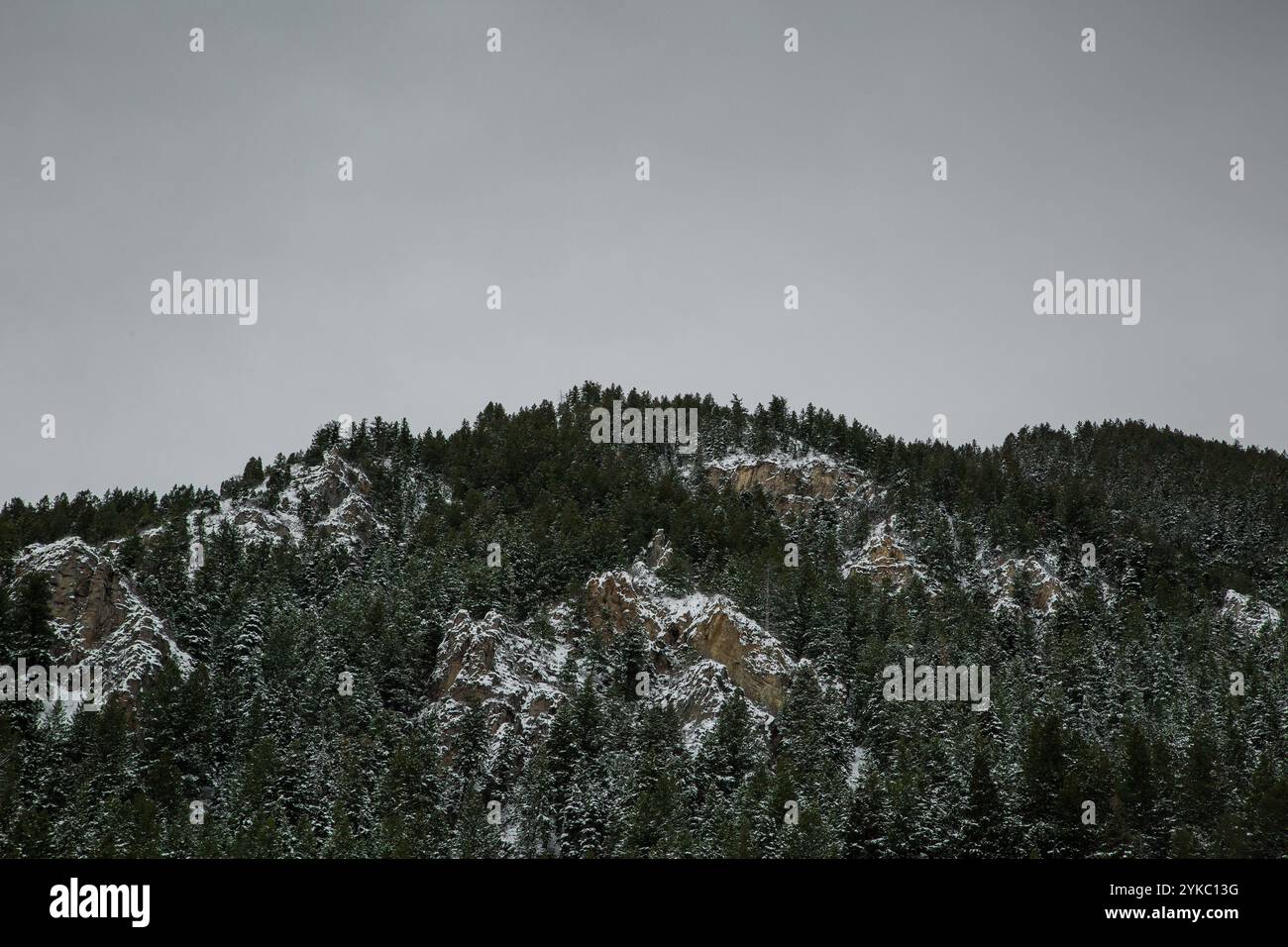 View hillside pine trees snow hi-res stock photography and images - Alamy