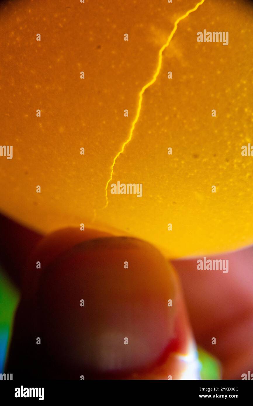 Shell defects hi-res stock photography and images - Alamy