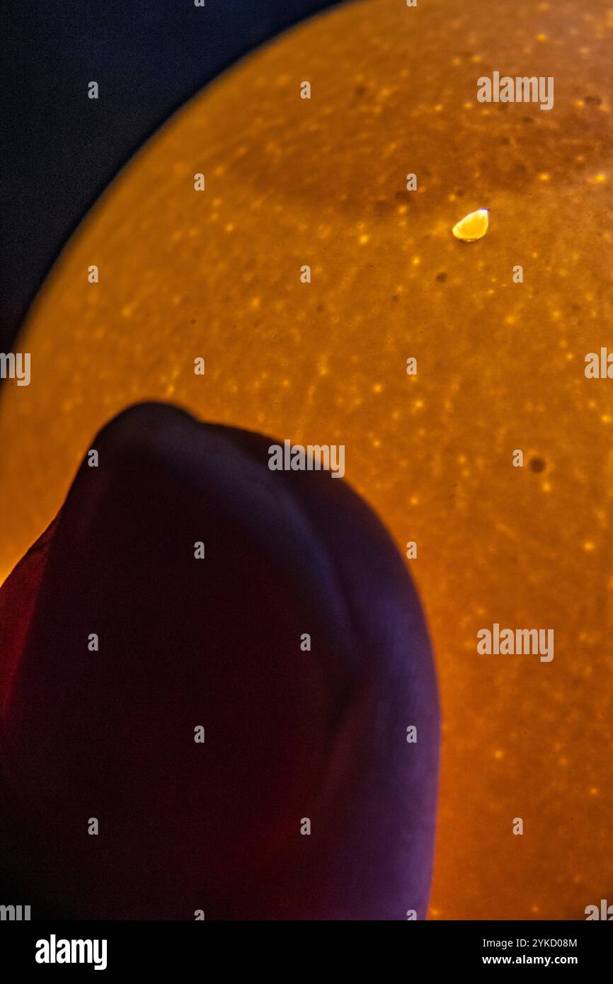 Egg size grading hi-res stock photography and images - Alamy