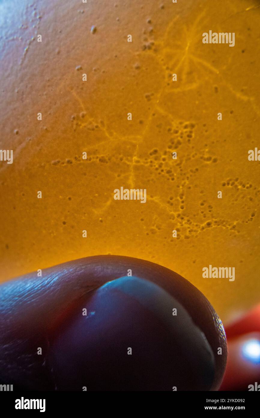 Shell defects hi-res stock photography and images - Alamy