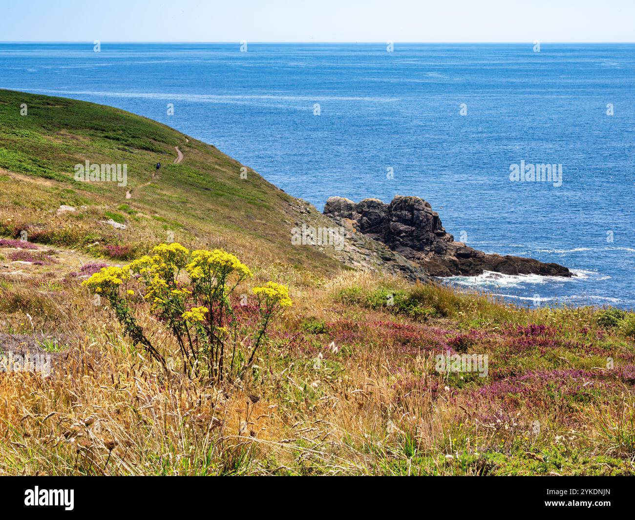 So cal coastal hi-res stock photography and images - Alamy