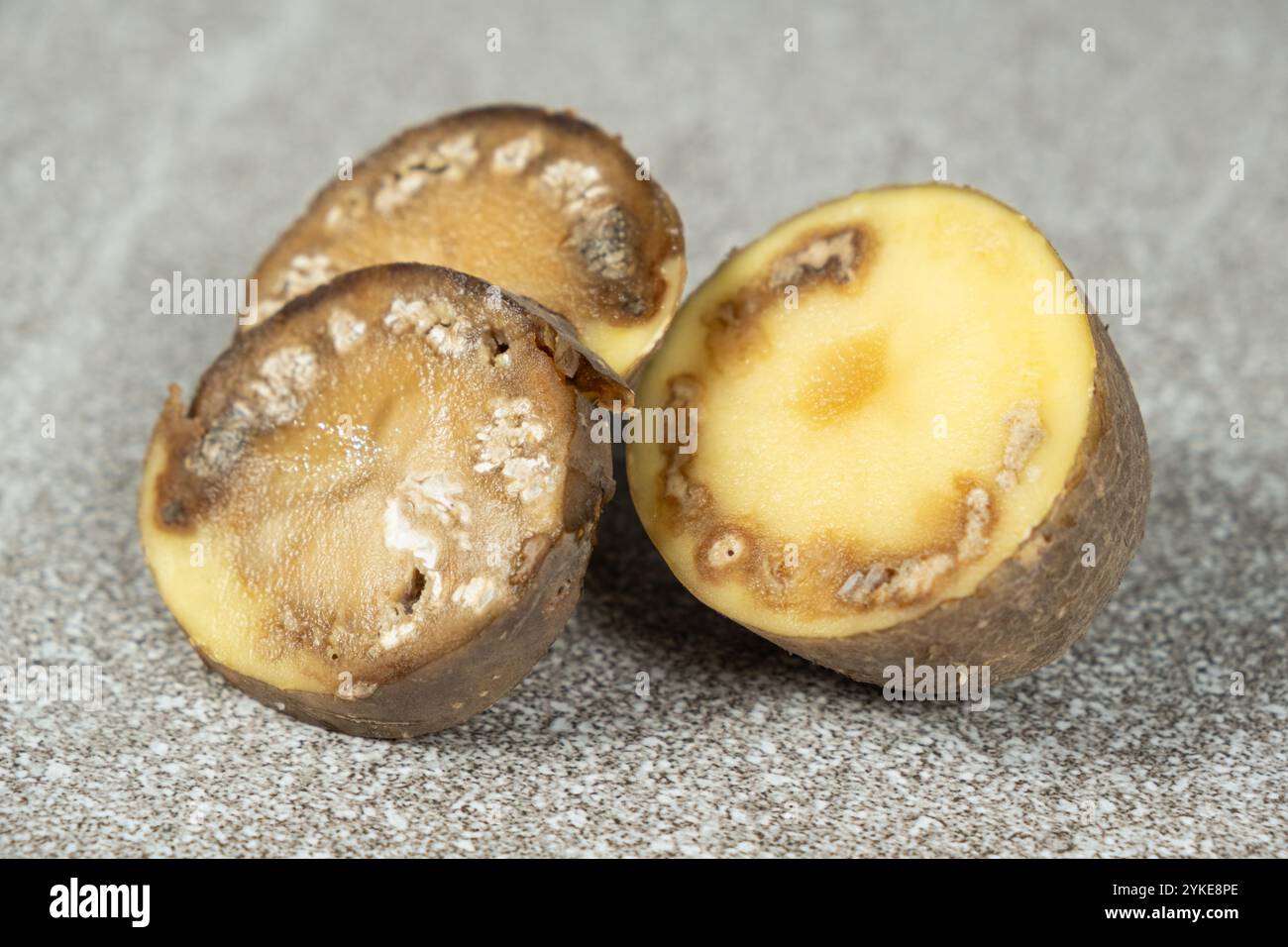 Rotten odor hi-res stock photography and images - Alamy