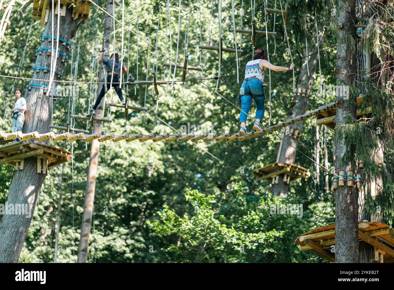 Experience a thrilling treetop adventure where participants navigate ...