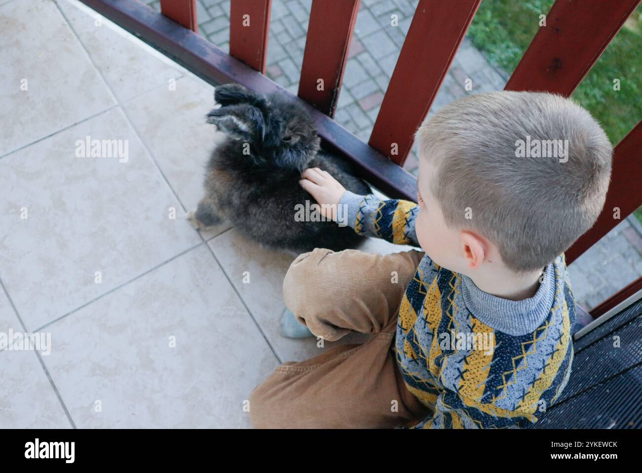Boy and rabbit on terrace, playing and enjoying fresh fruit Stock Photo ...