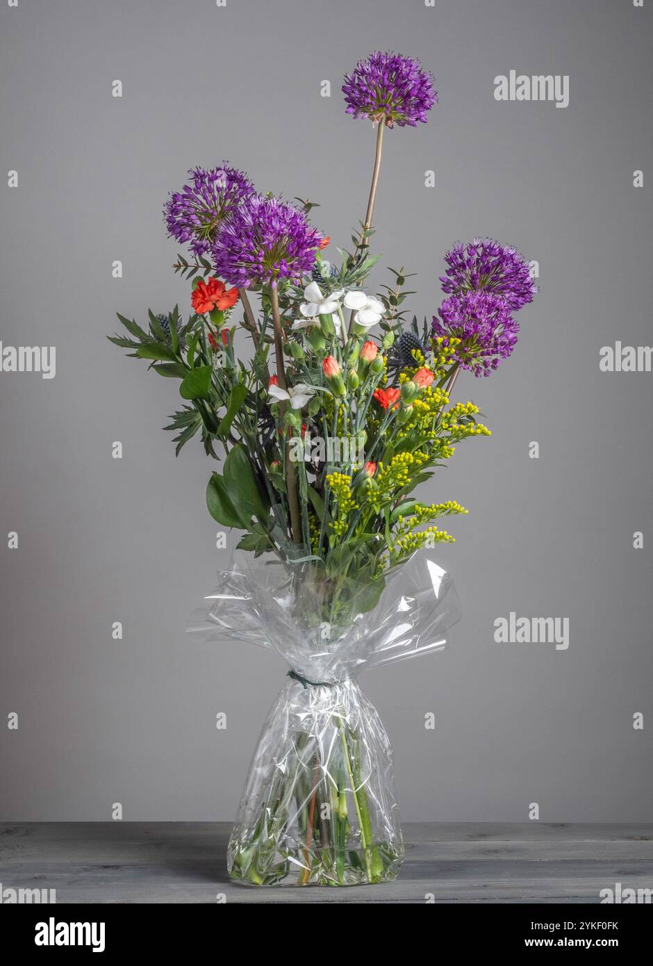 Hand-tied bouquet of fresh flowers comprising of Aliums, spray carnations, Eryngiums,and Solidago wrapped in cellophane. Stock Photo