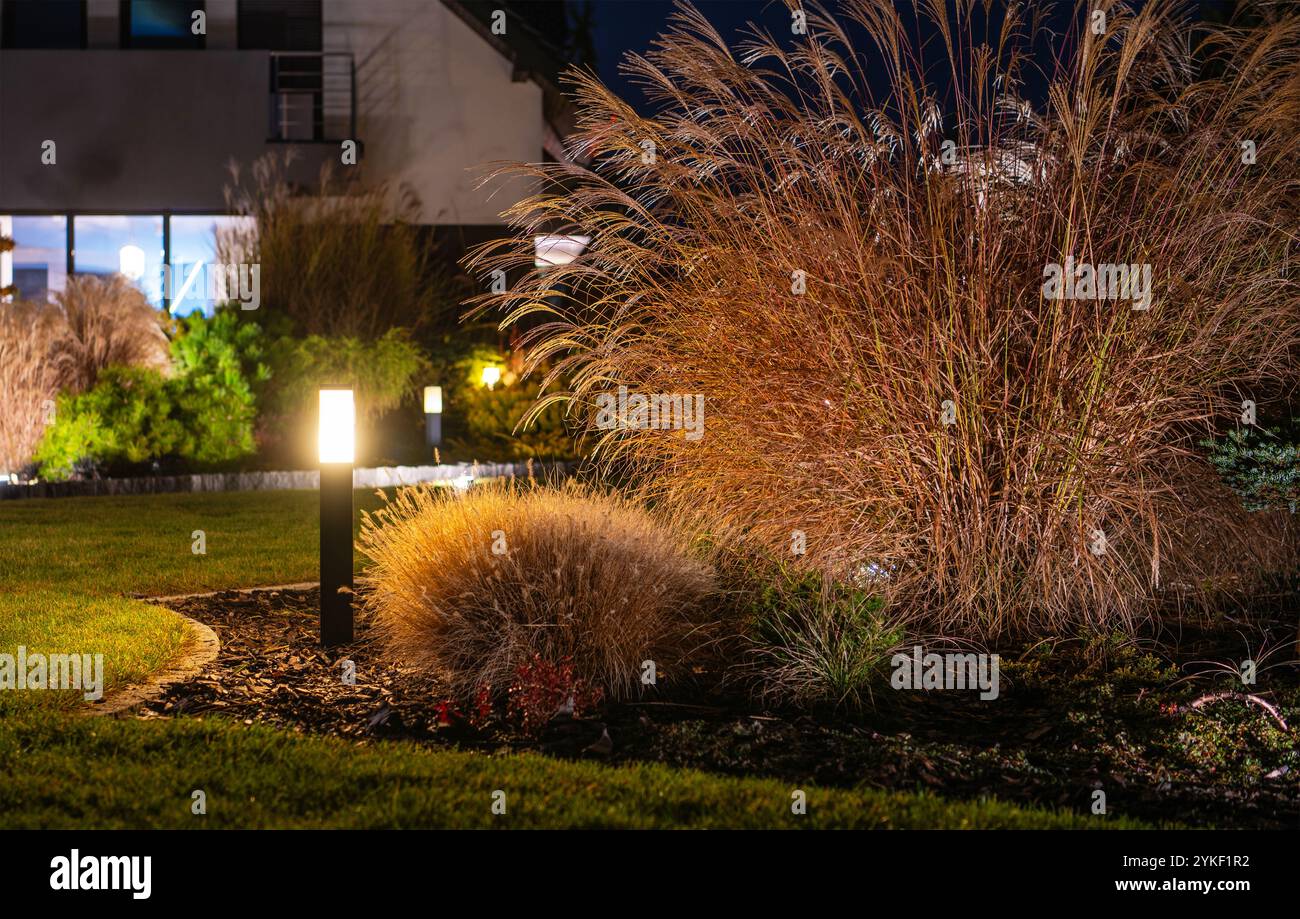 Grass showcases hi-res stock photography and images - Alamy