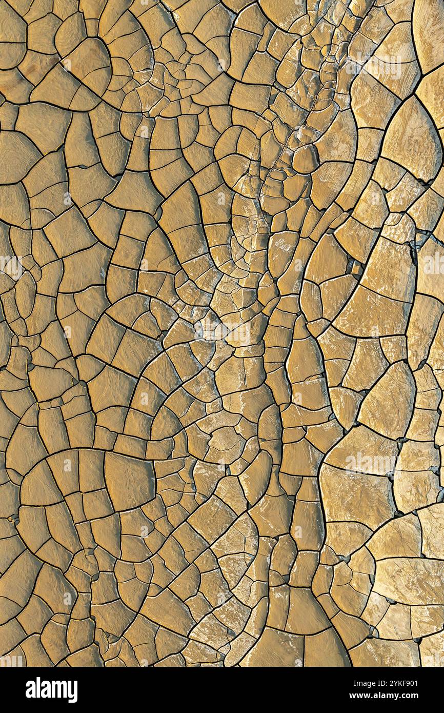 Close up view of dry, crackled mud, displaying intricate textures and patterns under warm sunlight, evoking a sense of aridness and natural design. Stock Photo