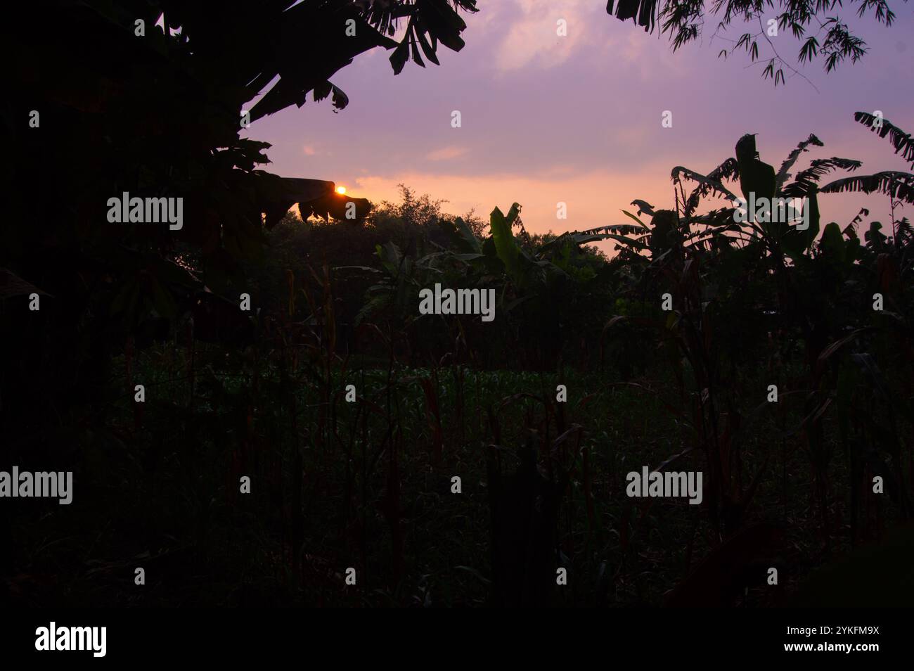Sun set scenery hi-res stock photography and images - Alamy