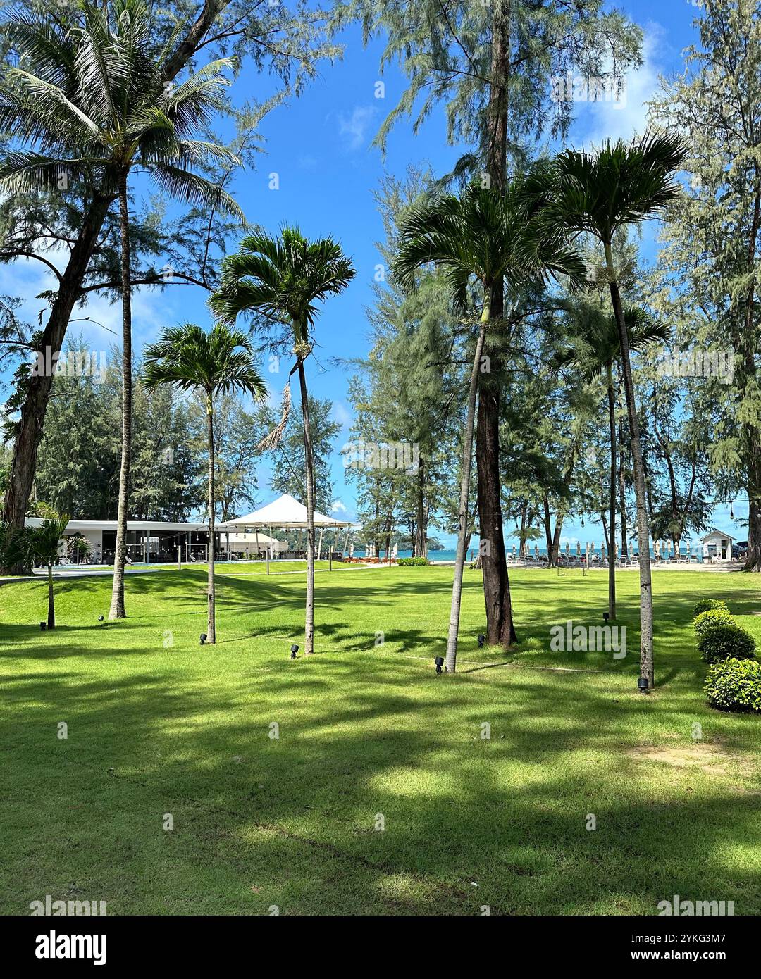 Thailand nature - Smartphone Captured Stock Image