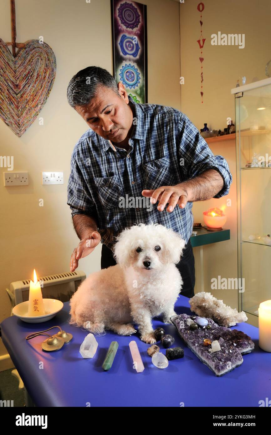 Dog Pain Relief & Anti-Inflammatory Prescription Meds | Petco