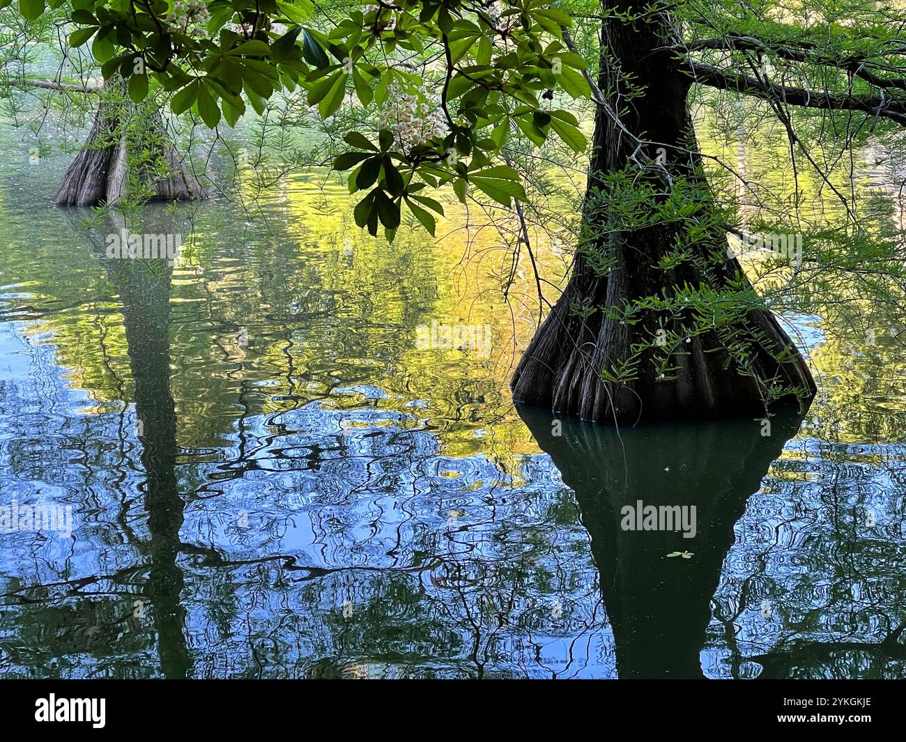 Pond of Cristal palace. El Retiro park, Madrid, Spain. - Smartphone Captured Stock Image