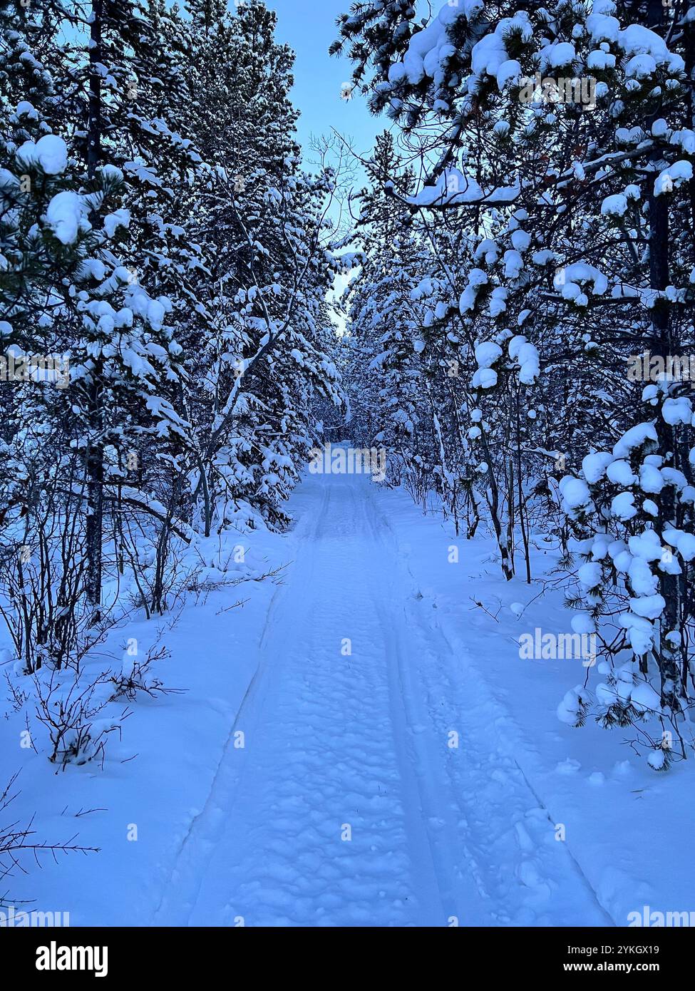 Yukon path in the winter - Smartphone Captured Stock Image