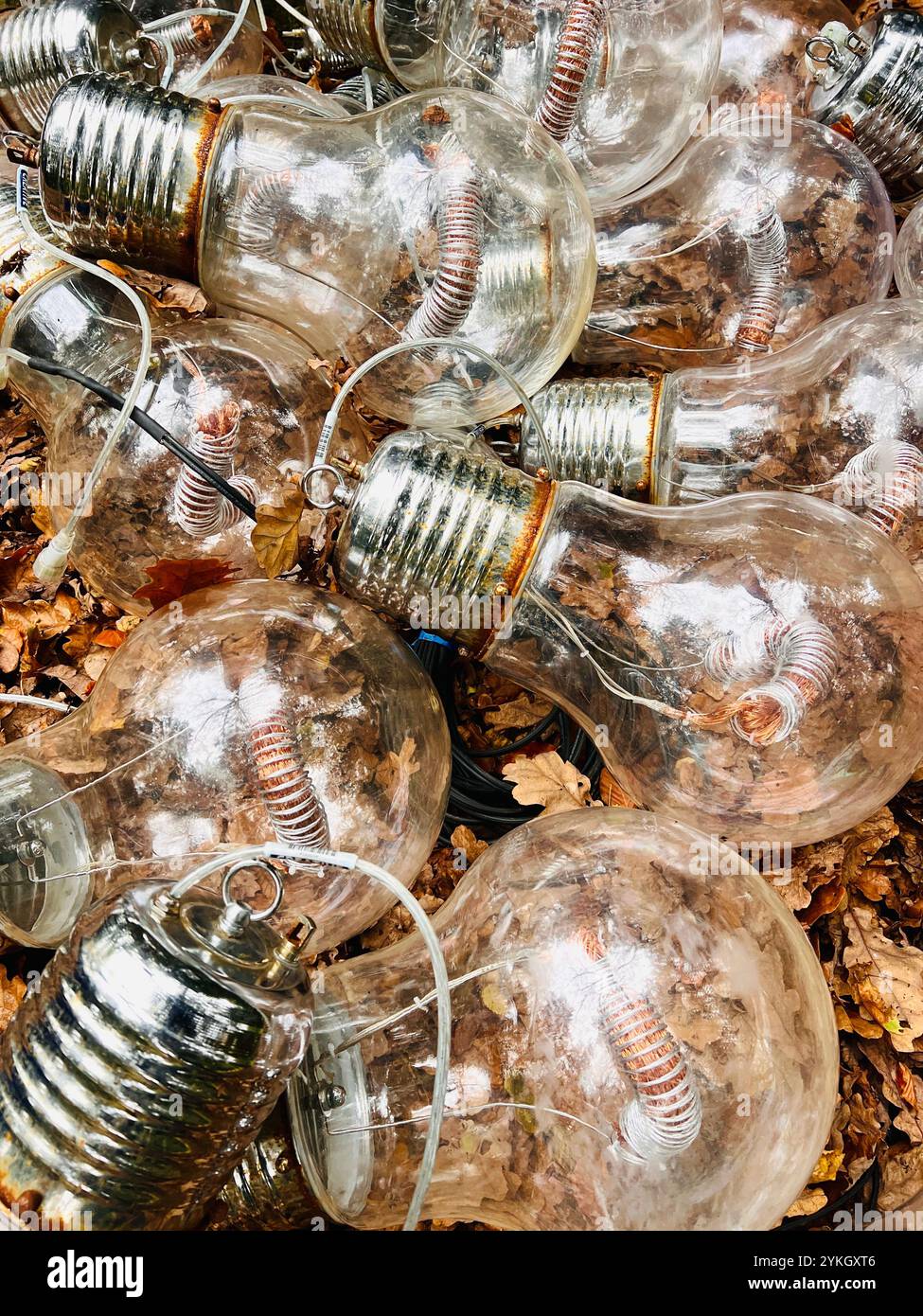 Giant outdoor display glass lightbulbs sitting on autumn leaves. iPhone photo. - Smartphone Captured Stock Image