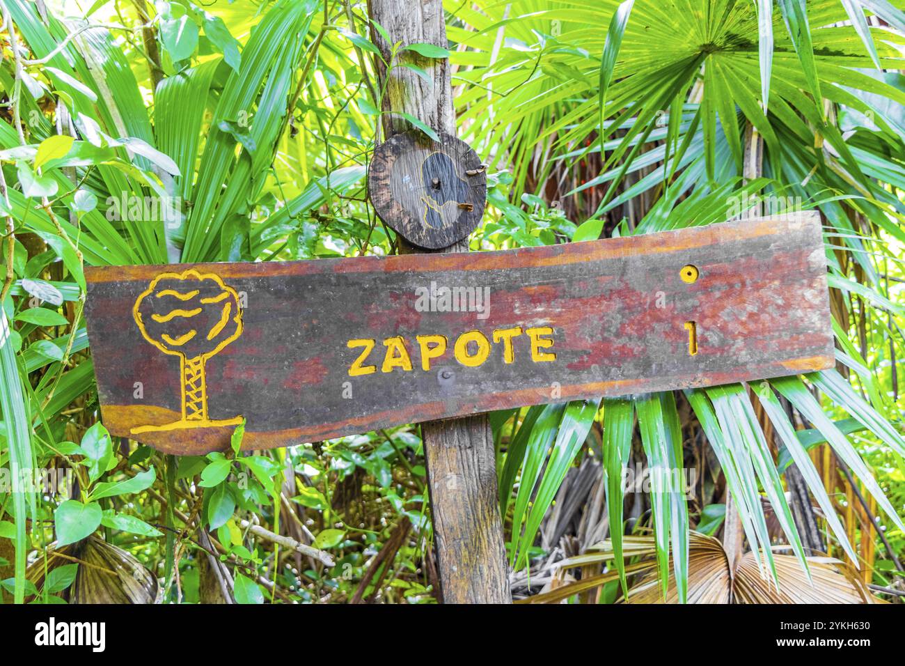 Muyil Mexico 02. February 2022 Information entrance walking trails and welcome sing board to the Sian Ka'an National Park in Muyil Chunyaxche Quintana Stock Photo