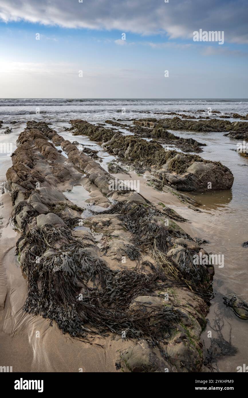 The beauty of rocks and seaweed at low tide on the Cornwall coast in ...