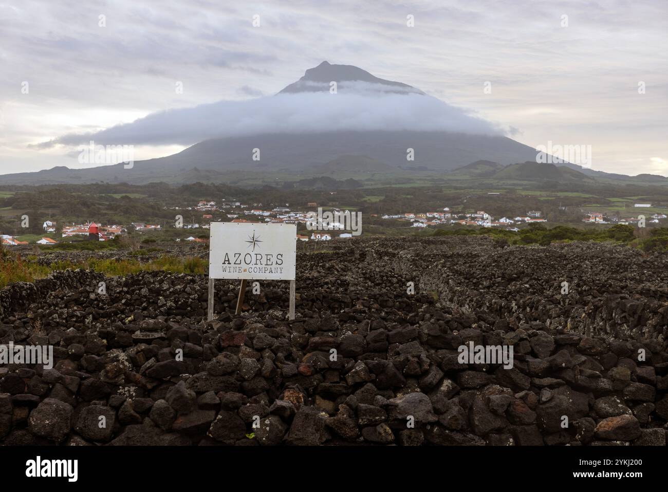 The landscape of the Pico Island Vineyard Culture in Lajido da Criação ...