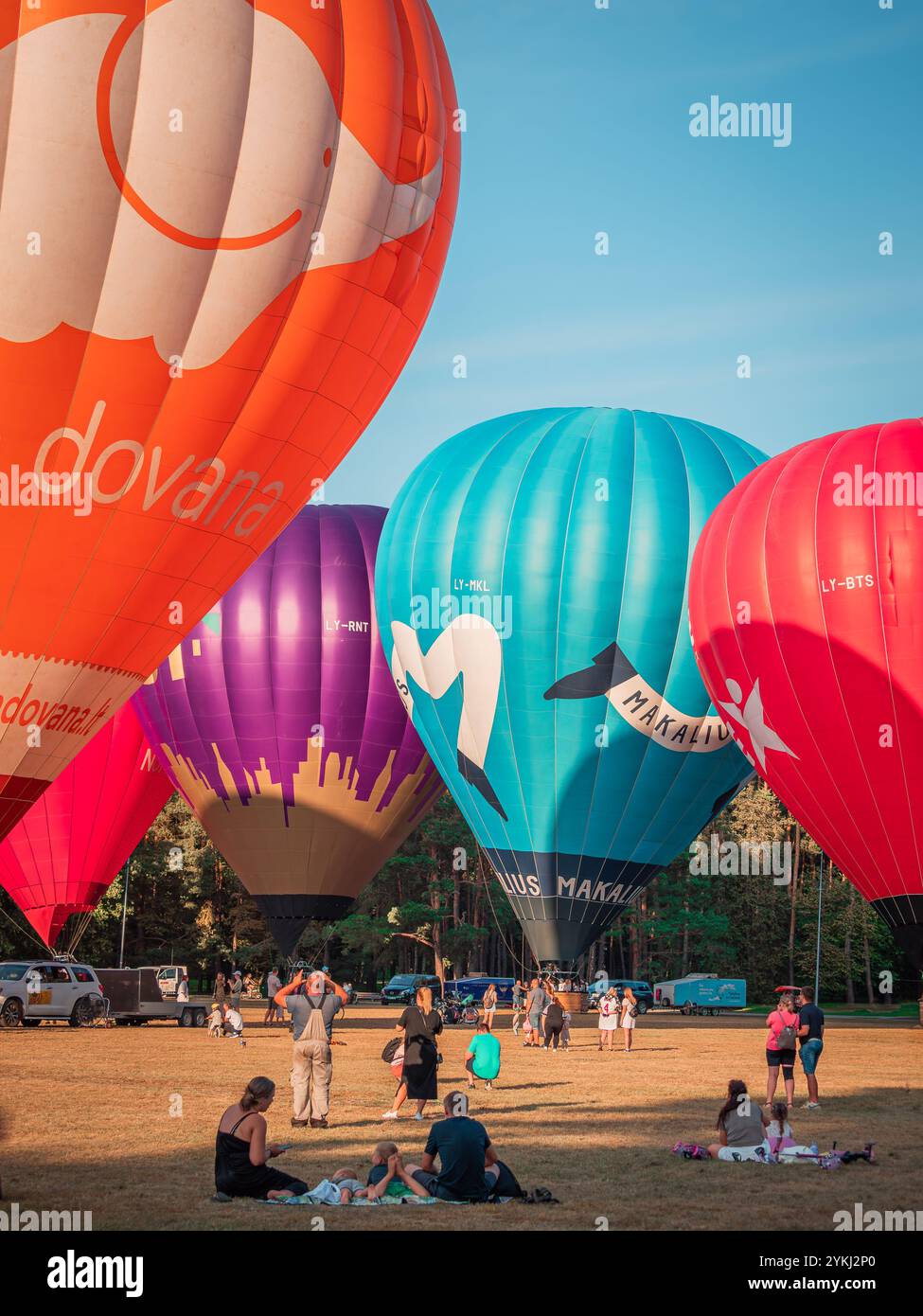 Colorful hot air balloons soaring in the clear blue sky during a ...