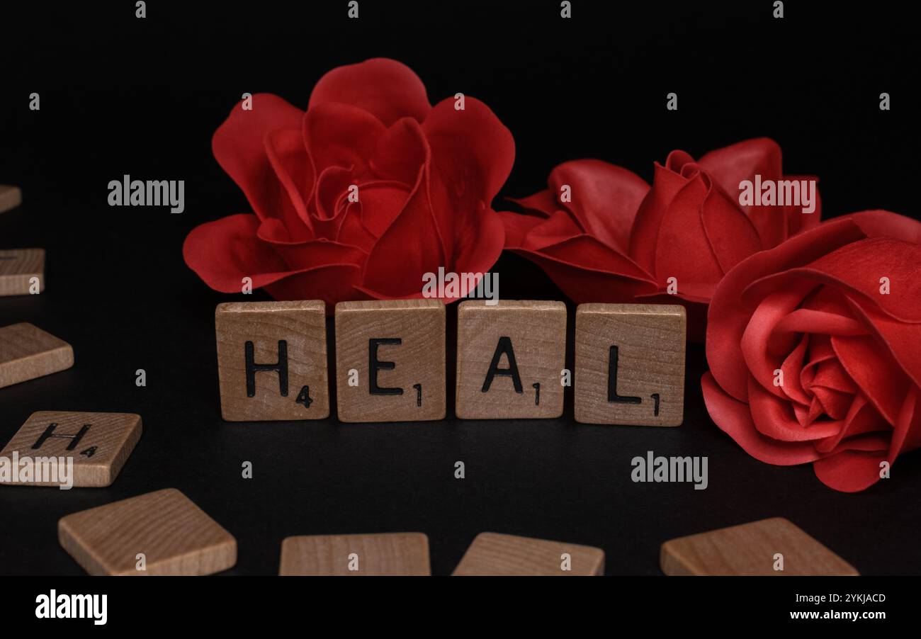 Red roses with HEAL Scrabble tiles, symbolizing World Cancer Day and ...